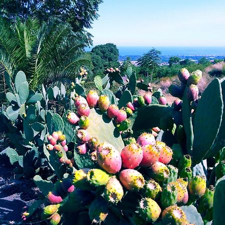 Piedimonte Mare Etna Villa Fiumefreddo di Sicilia Exterior foto