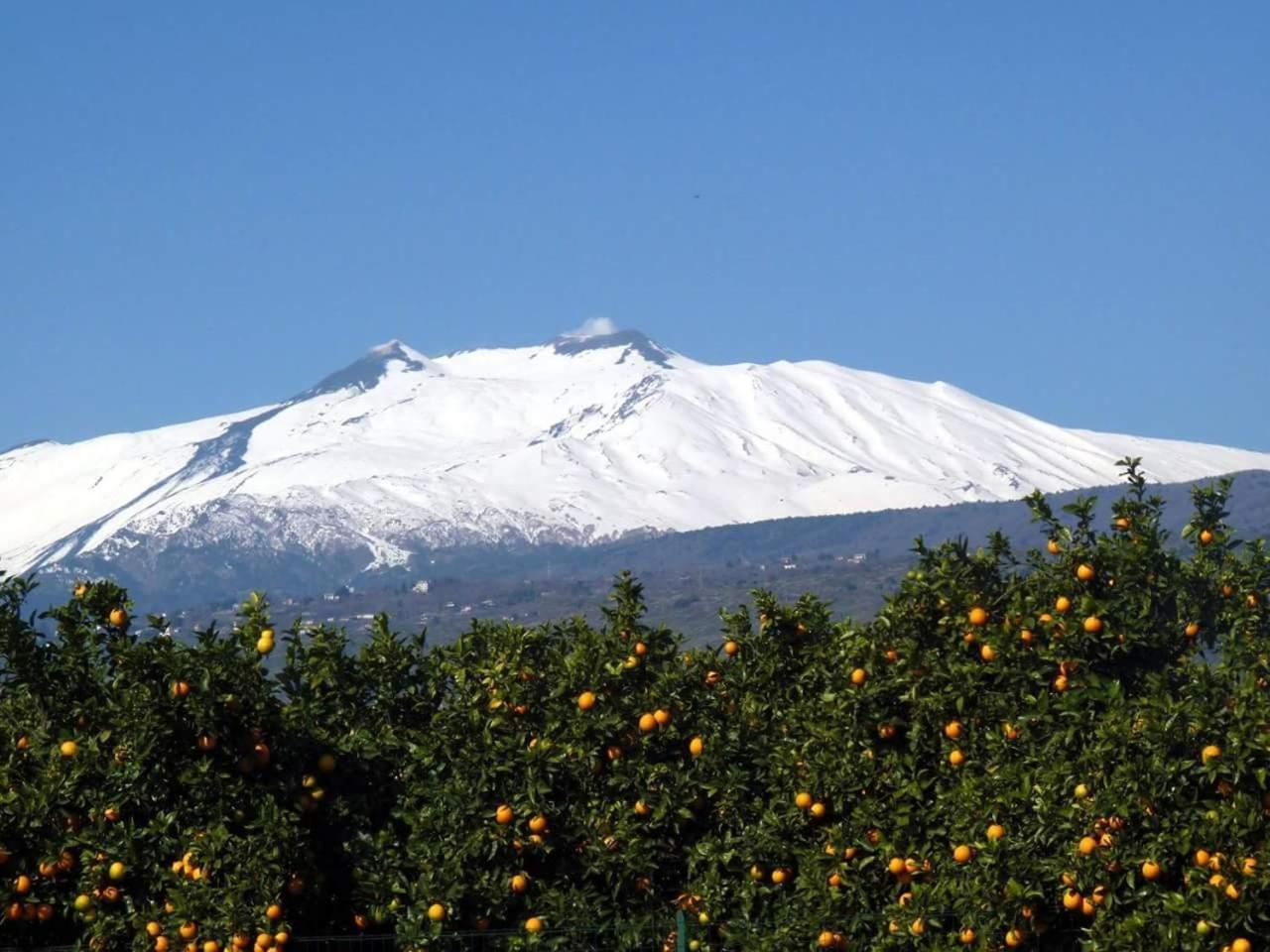 Piedimonte Mare Etna Villa Fiumefreddo di Sicilia Habitación foto